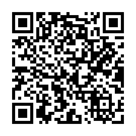 QR code for 410TOY