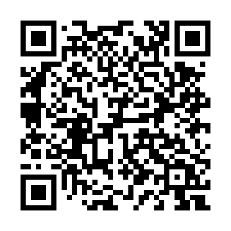 QR code for 411DPT