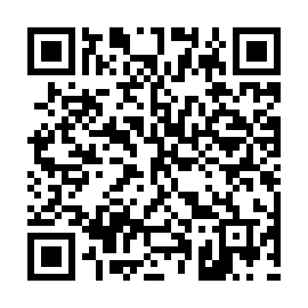 QR code for 411IYT