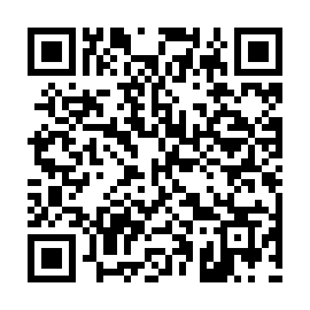 QR code for 411JIS