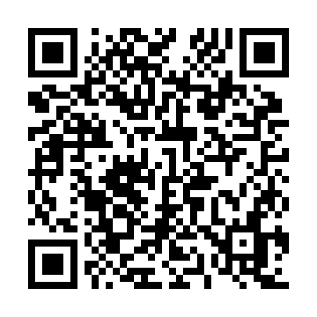 QR code for 411JKN