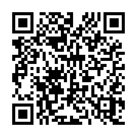 QR code for 411MEX