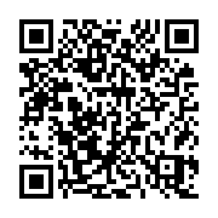 QR code for 411OVS