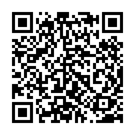 QR code for 411PIX