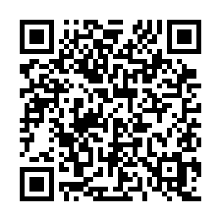 QR code for 411SIM