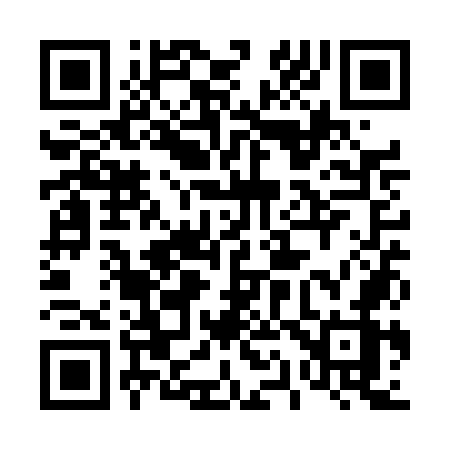 QR code for 411TOZ