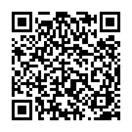 QR code for 411UGC