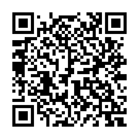 QR code for 411USG