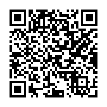 QR code for 411XAR