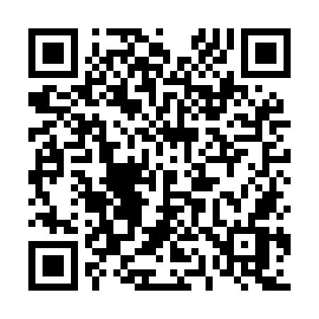 QR code for 419MOV