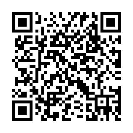 QR code for 419PAV
