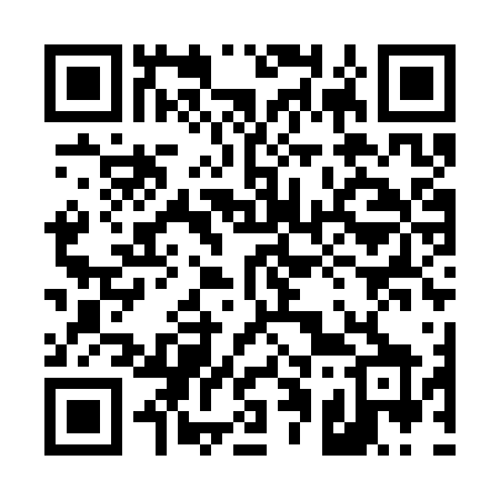 QR code for 419SVX