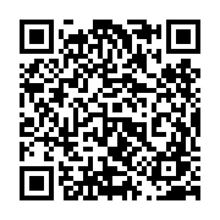 QR code for 419TFW