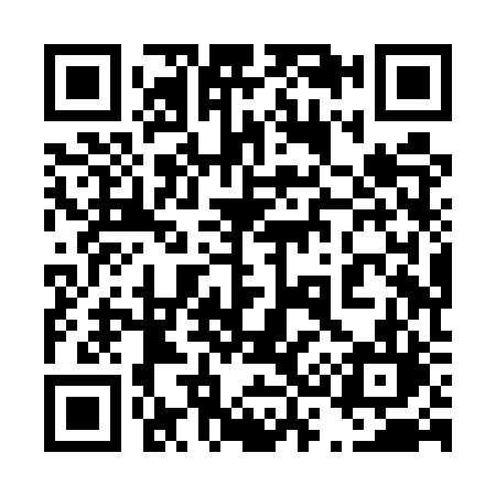 QR code for 438URL