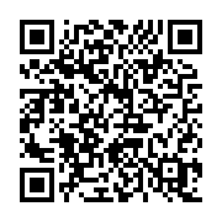 QR code for 441HSG
