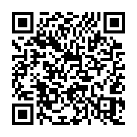 QR code for 441SUS