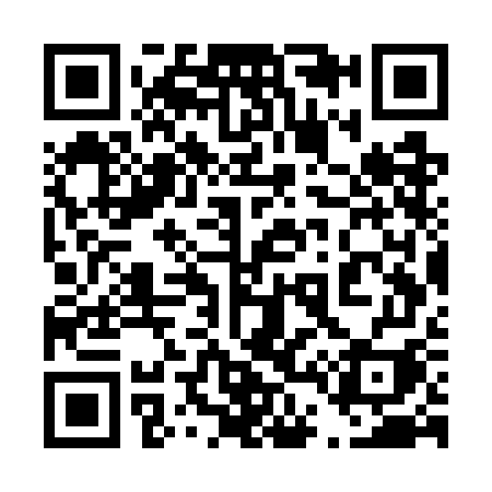 QR code for 447WGI