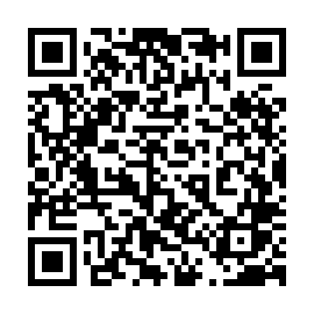 QR code for 447XLS