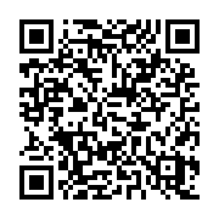 QR code for 453IFX