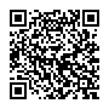 QR code for 453QLT