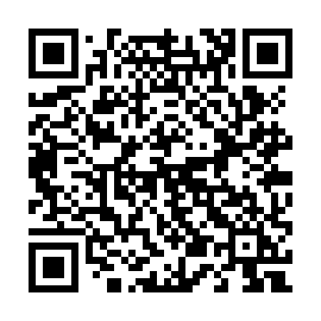 QR code for 453ZHI