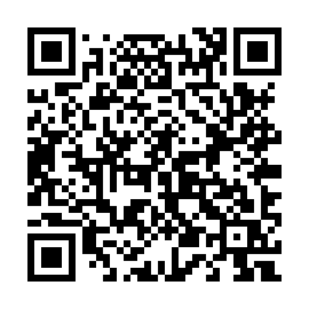 QR code for 455XYS