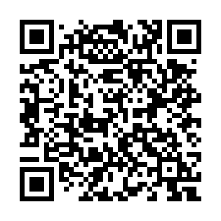 QR code for 460DSI