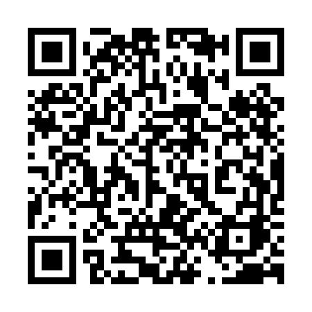 QR code for 461PFA