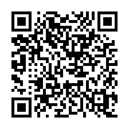 QR code for 461PKM