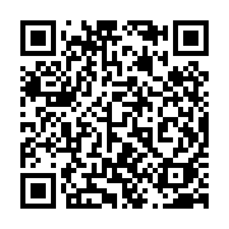 QR code for 461PQI