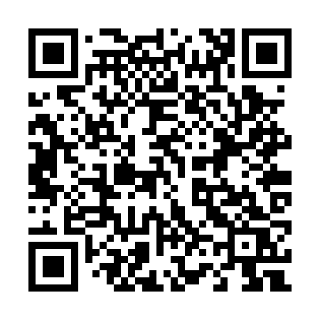 QR code for 462PZS