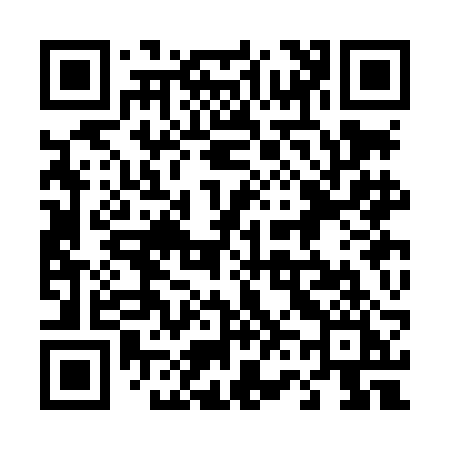 QR code for 463LBI