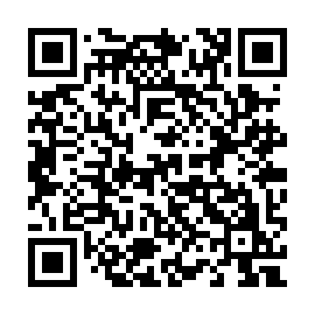 QR code for 463PIO