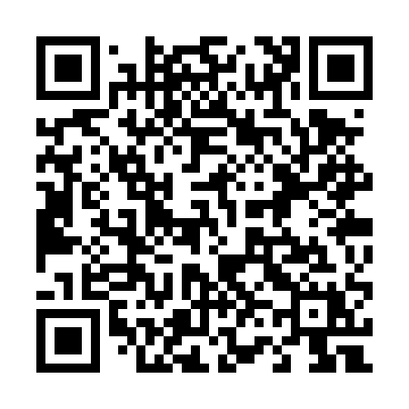 QR code for 463TQX