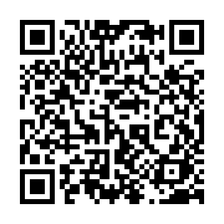 QR code for 491IZH