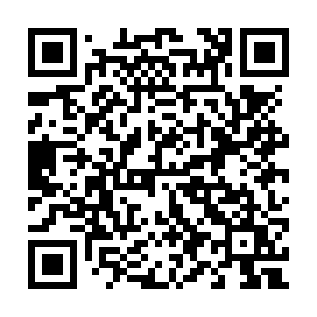 QR code for 491NZU