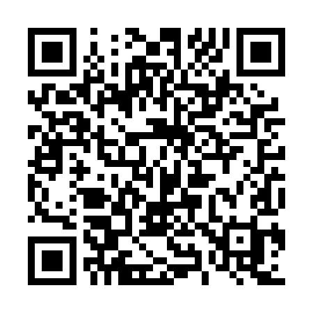 QR code for 492PII