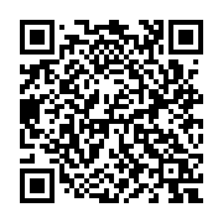 QR code for 493ARS