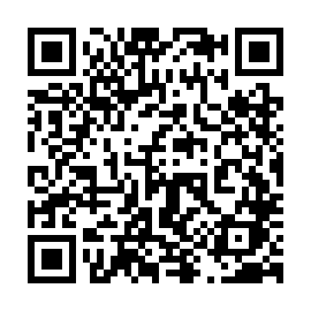 QR code for 493CLK