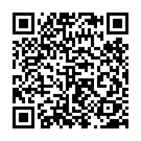 QR code for 493DGX