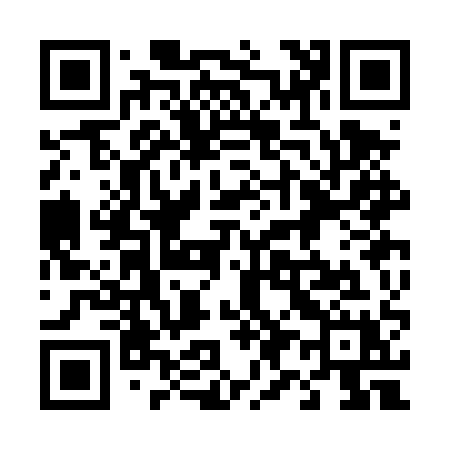 QR code for 493DQX
