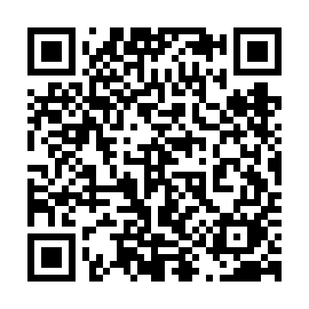 QR code for 493FEM