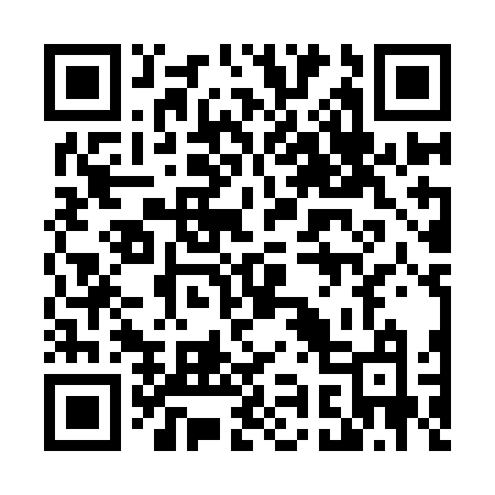 QR code for 493IFM