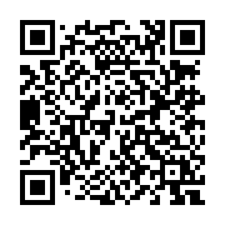 QR code for 493LEX