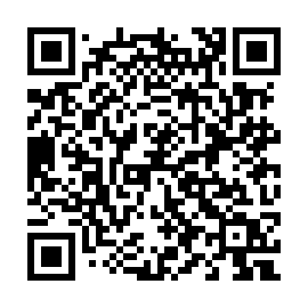 QR code for 493MKT