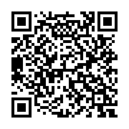 QR code for 493OPN