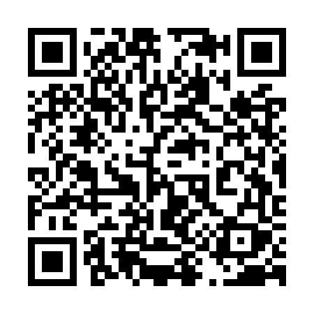 QR code for 493OVY