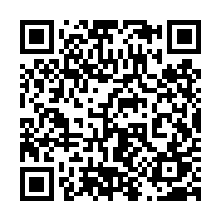 QR code for 493TQT