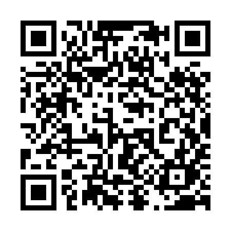 QR code for 493XIL