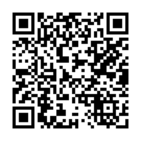 QR code for 493ZGG